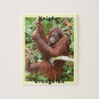 Diversión del bosque de Borneo del orangután de