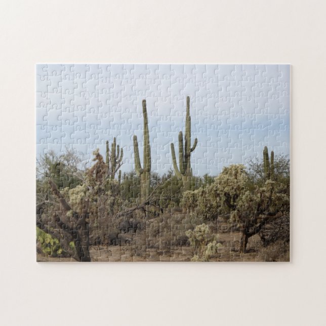 Puzzle Diversos cactus (Horizontal)
