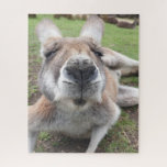 Puzzle Divertida cara de canguro foto de animal educativo<br><div class="desc">Curiosa cara canguro del rompecabezas de fotos de animales australianos</div>