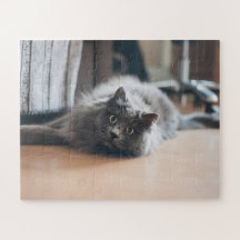 Divertido Kit de gato mascota personalizable