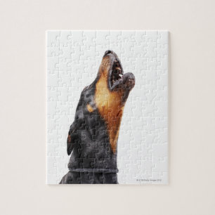 Puzzle Doberman howling
