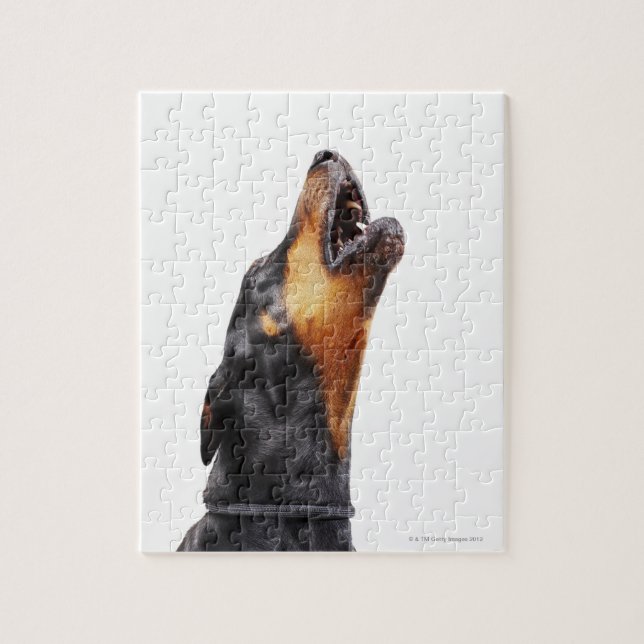 Puzzle Doberman howling (Vertical)