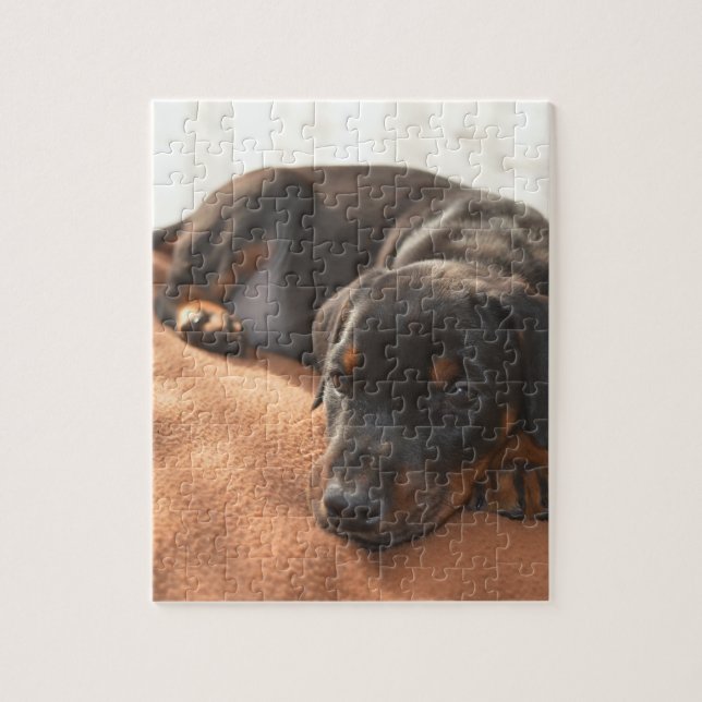 Puzzle doberman-pinscher-puppy (Vertical)