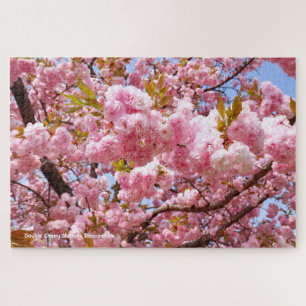Puzzle Doble Flor de Cerezo: Sato-zakura