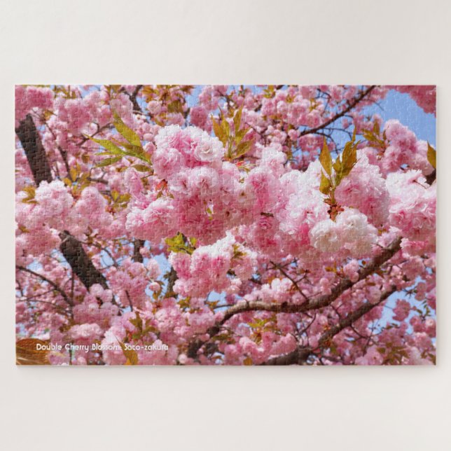 Puzzle Doble Flor de Cerezo: Sato-zakura (Horizontal)