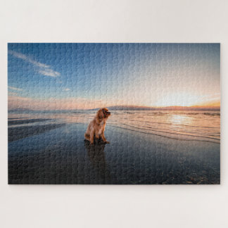 Puzzle Dog sitting on the beach 
