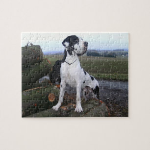 Puzzle Dogge alemán, Great Dane, Perros, Dogue Allemand
