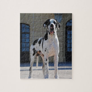 Puzzle Dogge alemán, Great Dane, Perros, Dogue Allemand