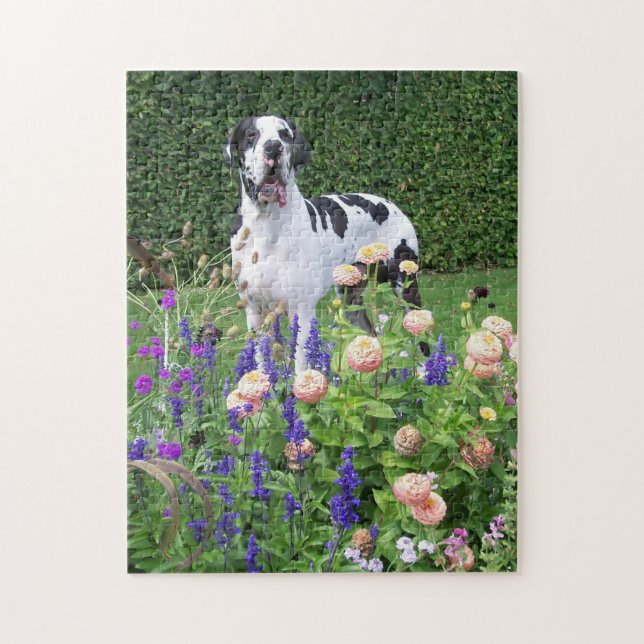 Puzzle Dogge alemán, Great Dane, Perros, Dogue Allemand (Vertical)
