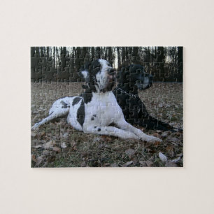 Puzzle Dogge alemán, Great Dane, Perros, Dogue Allemand
