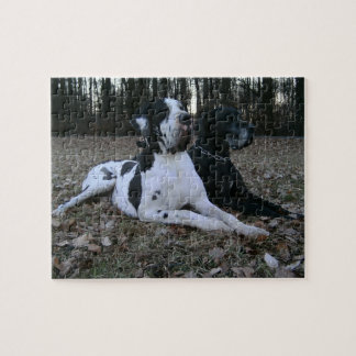 Puzzle Dogge alemán, Great Dane, Perros, Dogue Allemand