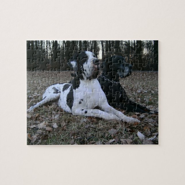 Puzzle Dogge alemán, Great Dane, Perros, Dogue Allemand (Horizontal)