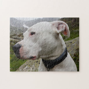 Puzzle Dogo argentino