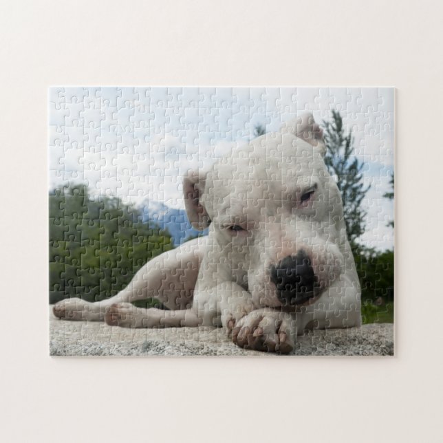 Puzzle Dogo argentino  (Horizontal)