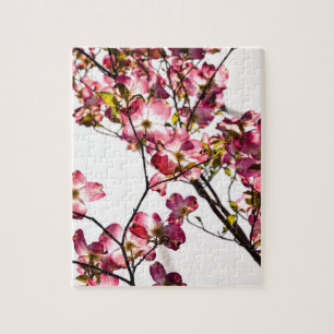 Puzzle Dogwood en la floración
