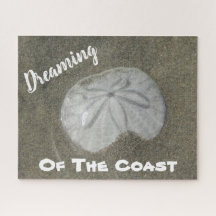 Dólar de arena Foto de la costa natural de la play