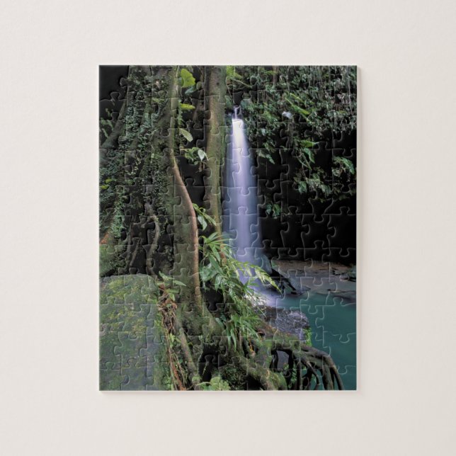 Puzzle Dominica, Estanque Esmeralda, Cascada. (Vertical)