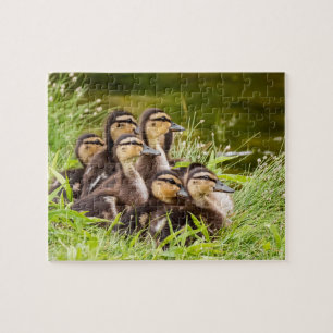 Puzzle ¿Dónde está mamá?