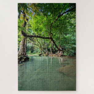 Puzzle Donde los árboles se encuentran con el agua
