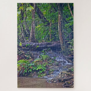 Puzzle Donde los árboles se encuentran con el agua