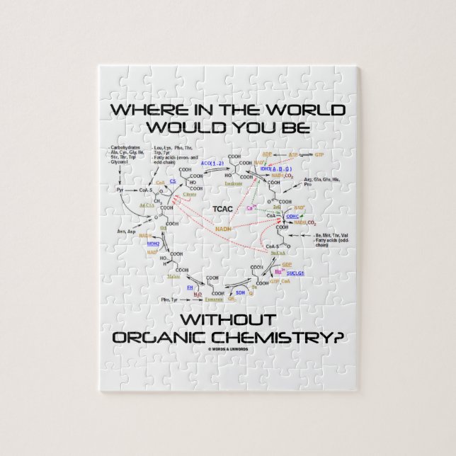 Puzzle ¿Dónde usted sería química orgánica? (Vertical)