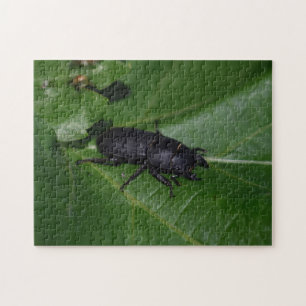 Puzzle Dorcus parallelipipedus , el escarabajo de menor t