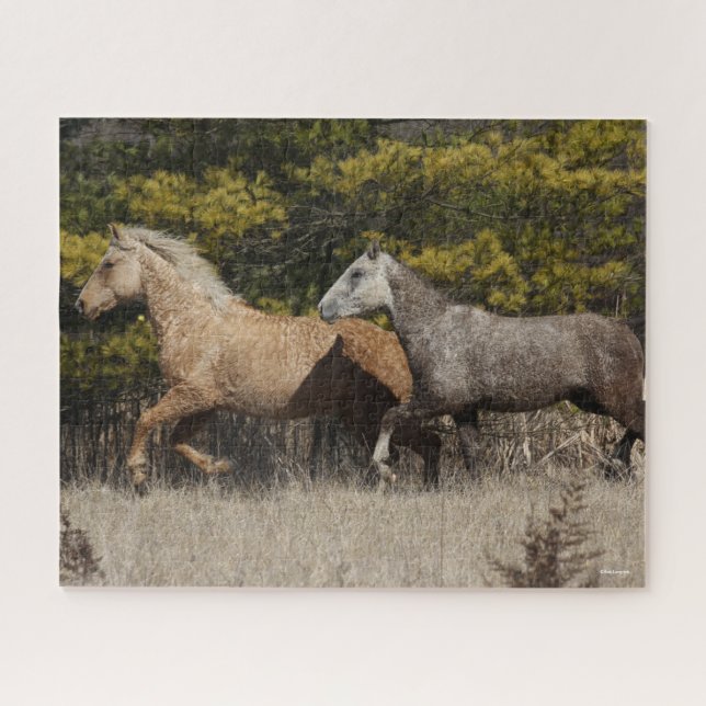Puzzle Dos caballos de curry de Bashkir juntos (Horizontal)