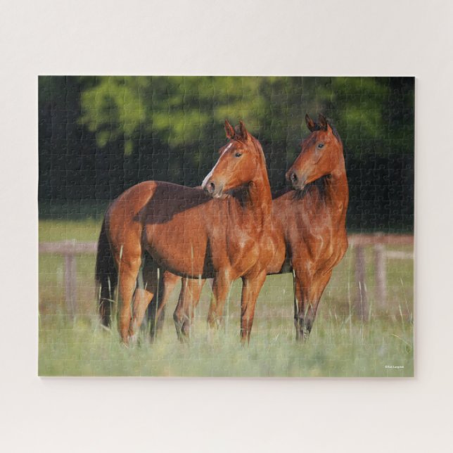 Puzzle Dos Caballos De Varsovia De Pie En Campo (Horizontal)