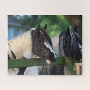 Puzzle Dos Caballos Gitanos Vanner Mirando La Valla