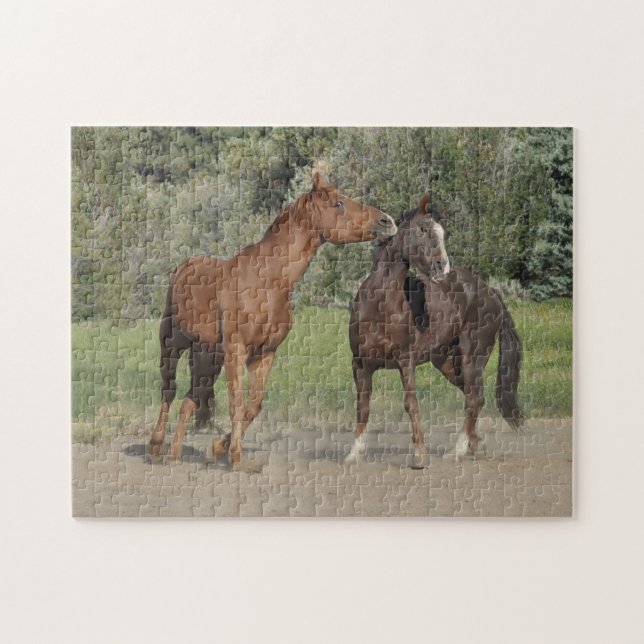 Puzzle Dos caballos jugando (Horizontal)