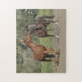 Puzzle Dos caballos jugando