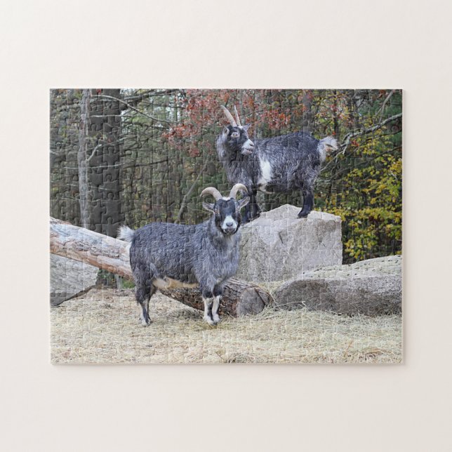 Puzzle Dos cabras (Horizontal)