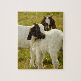 Puzzle Dos cabras de blanco moreno