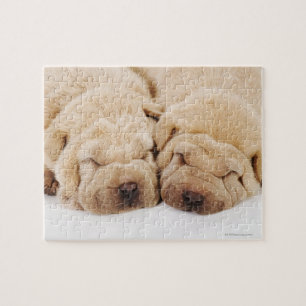 Puzzle Dos cachorros de Shar Pei durmiendo