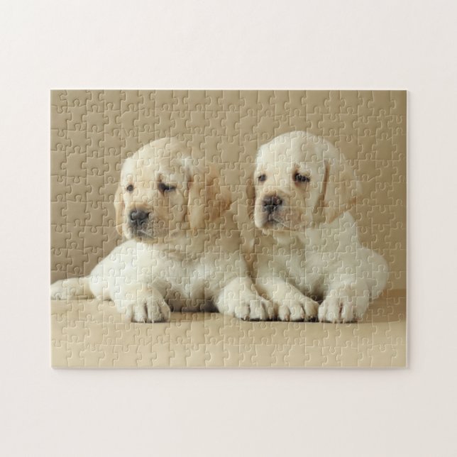 Puzzle Dos Cachorros Dorados Labrador (Horizontal)
