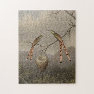 Puzzle Dos colibríes con sus jóvenes