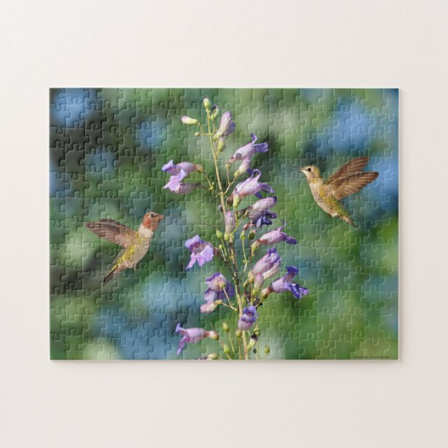 Puzzle Dos colibríes en vuelo con flores (Horizontal)