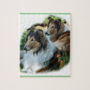Puzzle Dos collies ásperos del Sable