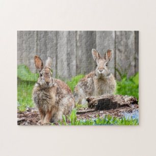 Puzzle Dos conejos Bunny