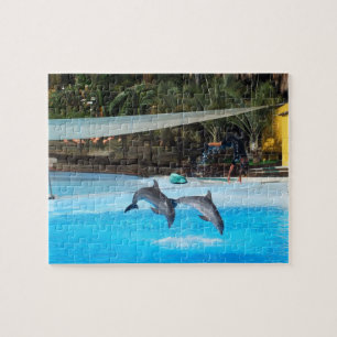 Puzzle Dos delfines
