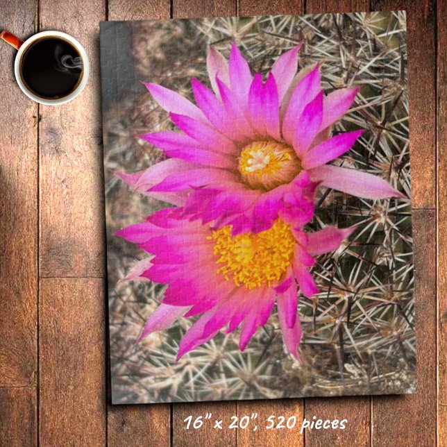 Puzzle Dos Flores De Cactus Rosadas Fotografía De Cierre (Pink cactus flower jigsaw puzzle)