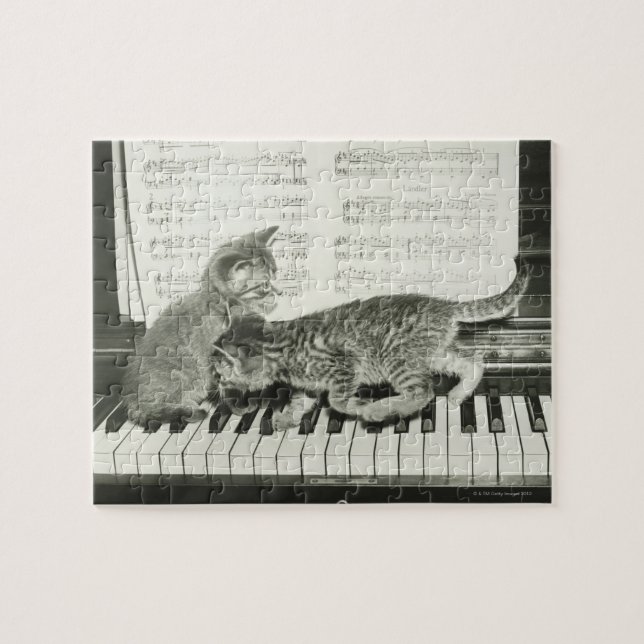 Puzzle Dos gatitos tocando en el teclado del piano, (B&W) (Horizontal)