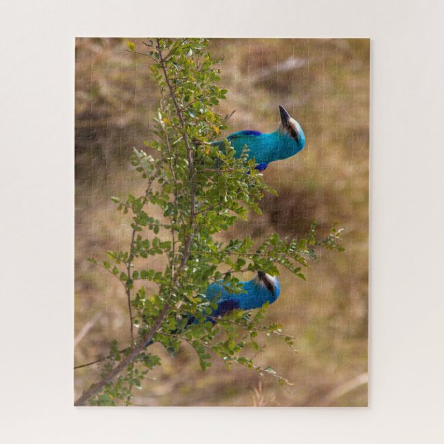 Puzzle Dos hermosas aves azules en una sucursal (Vertical)