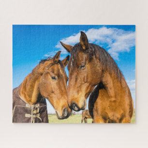 Puzzle Dos hermosos caballos