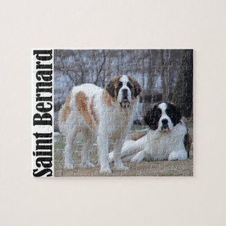 Puzzle Dos hermosos San Bernardo