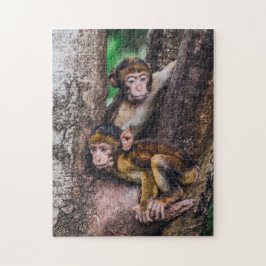 Puzzle Dos monos en el bosque de los monos del árbol
