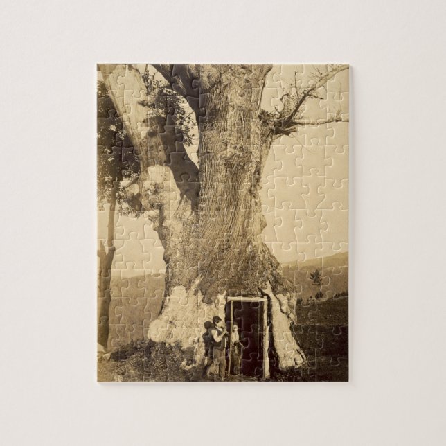 Puzzle Dos muchachos en la entrada de su casa del árbol, (Vertical)