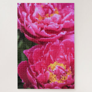 Puzzle Dos peones de fucsia florecen con pintura