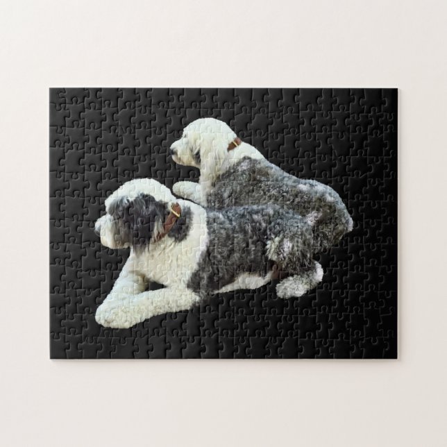 Puzzle Dos perros pastores (Horizontal)