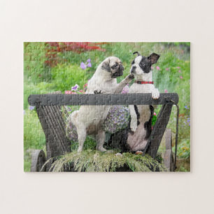 Puzzle Dos perros un cachorro y Boston Terrier en un carr